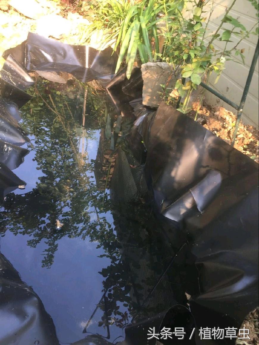 庭院景观鱼塘建造,庭院简单小鱼塘建造