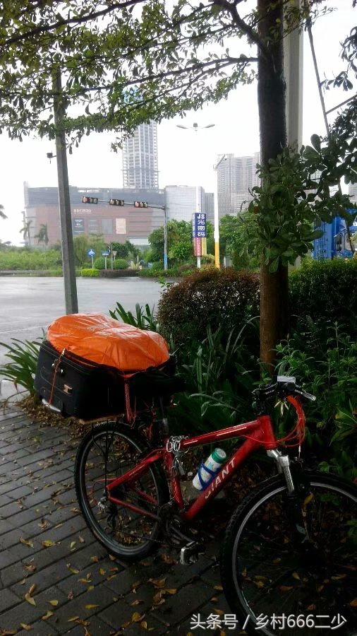 平凡之路赏析,平凡之路赏析及感悟