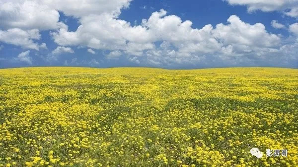 我们为什么要摄影,为什么说没有构图很可怕