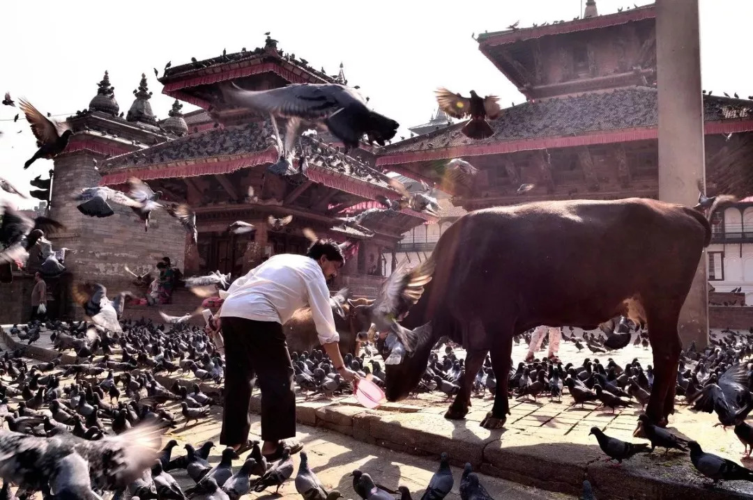 尼泊尔SKR什么地方？