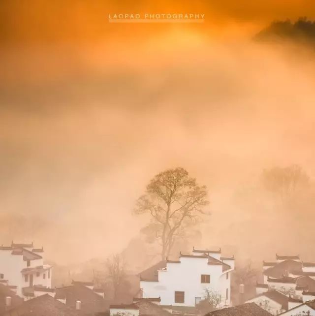 秋天的婺源什么时候去最美,秋天的婺源是色彩的天堂