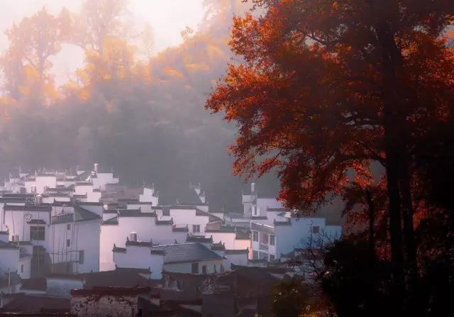 秋天最美婺源,秋季的婺源据说很美