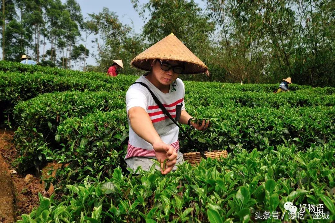 我是你的“广东小甜甜”，快来泡我啊！