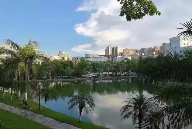 为什么深职院这么出名,深职院为什么全国第一