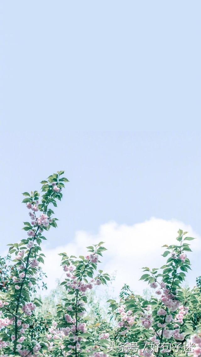 心情语录精致走心句句说到心窝上,一句话心情签名精辟走心短句