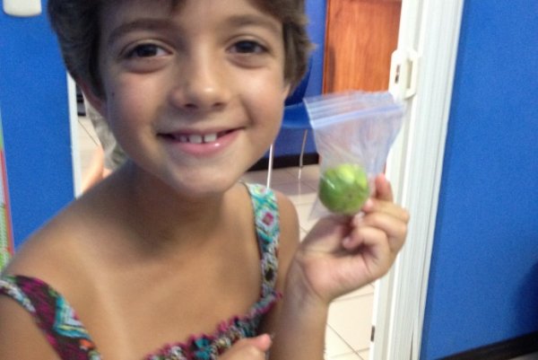 什么情况不能吃番石榴,什么病不可吃番石榴