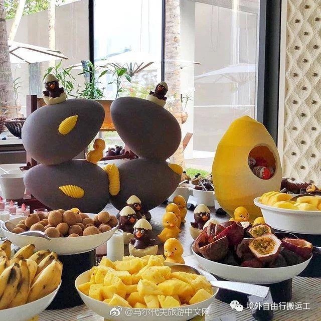 马尔代夫最强选岛攻略！摇旗呐喊一定要看！