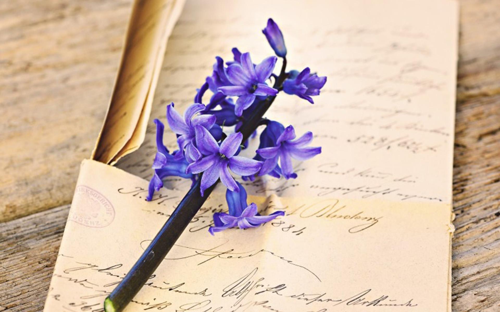 抖腿的行为心理学解释,心理学一个人经常抖腿说明了什么