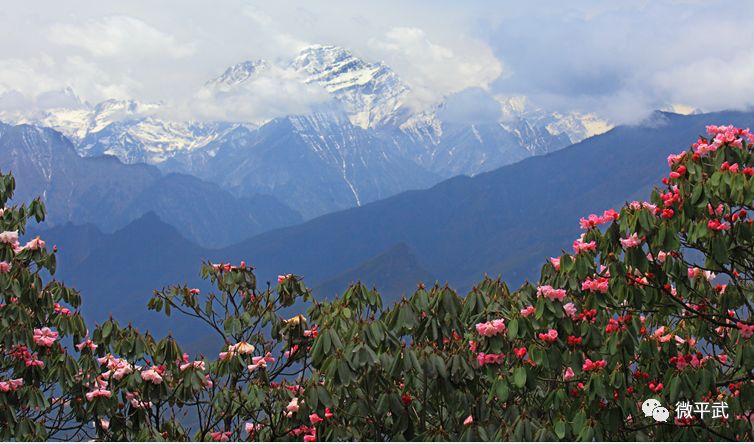 从a到z的城市,从a到z的英语表白