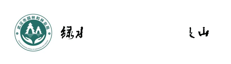 体育中心看展菊,运动公园菊展