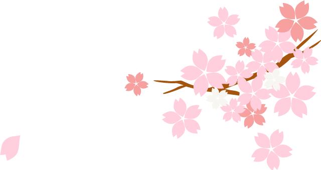 广东省中医院妇科主任医师王小云,中医妇科月经失调