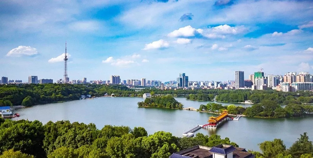 2023龟展直播,观赏龟直播在线观看