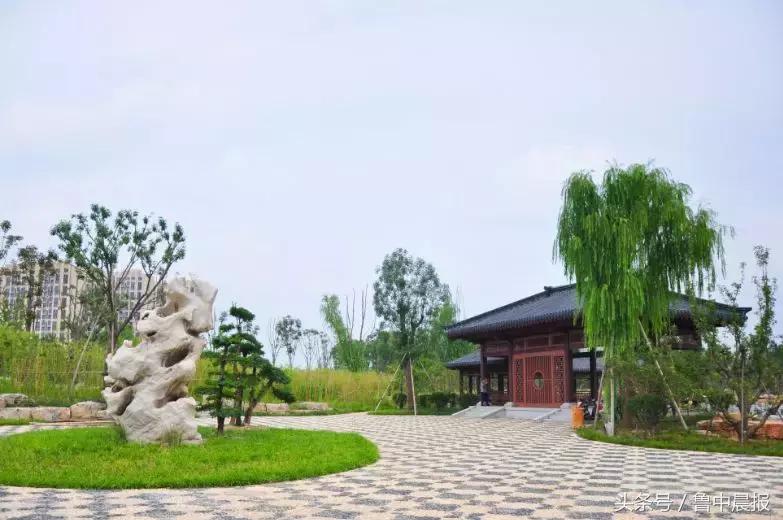 淄博新的湿地公园,淄博8月份新开公园