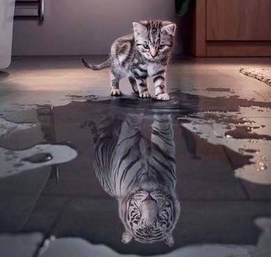 社恐不想与陌生的人接触,没有勇气面对社恐