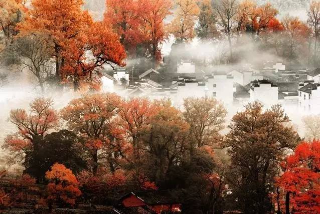 婺源的秋天真美,秋天的婺源什么时候去最美