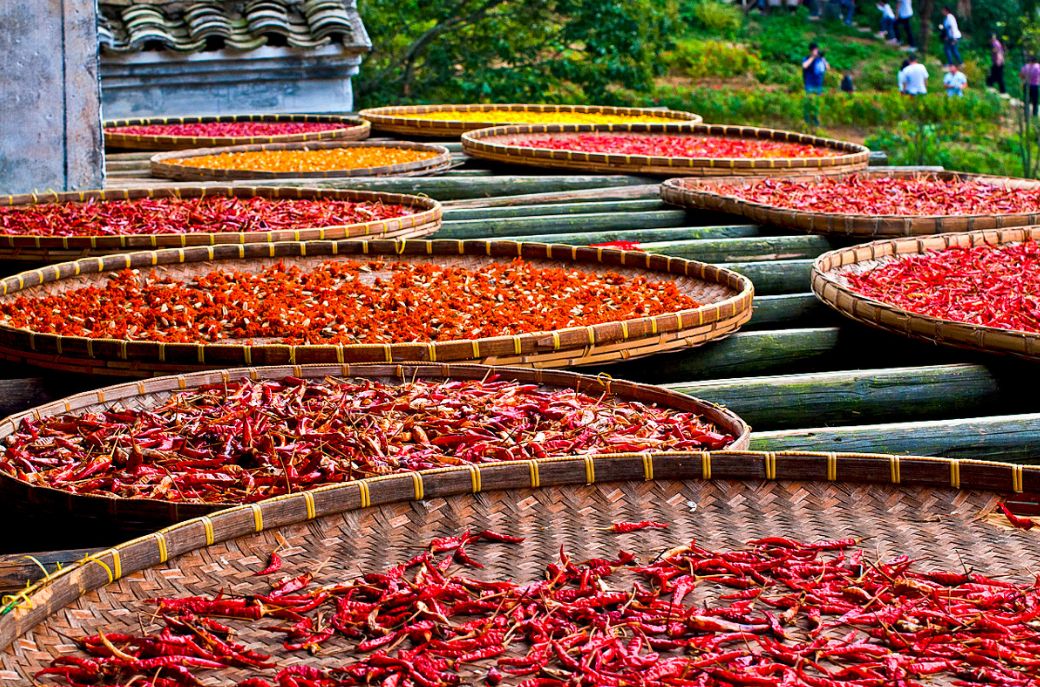 婺源的秋天真美,秋天的婺源什么时候去最美