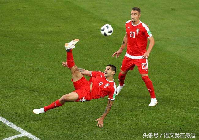 语文就在身边vlog,语文在我身边视频