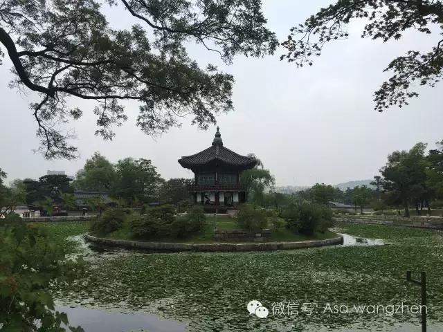 小早游韩国|美好的时光总是那么短暂~