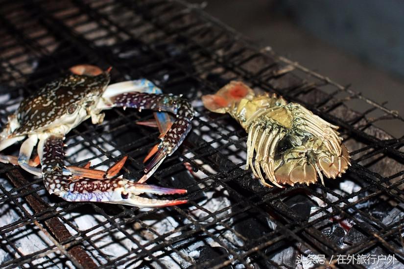 向往的生活去什么海岛,向往的生活要去海岛