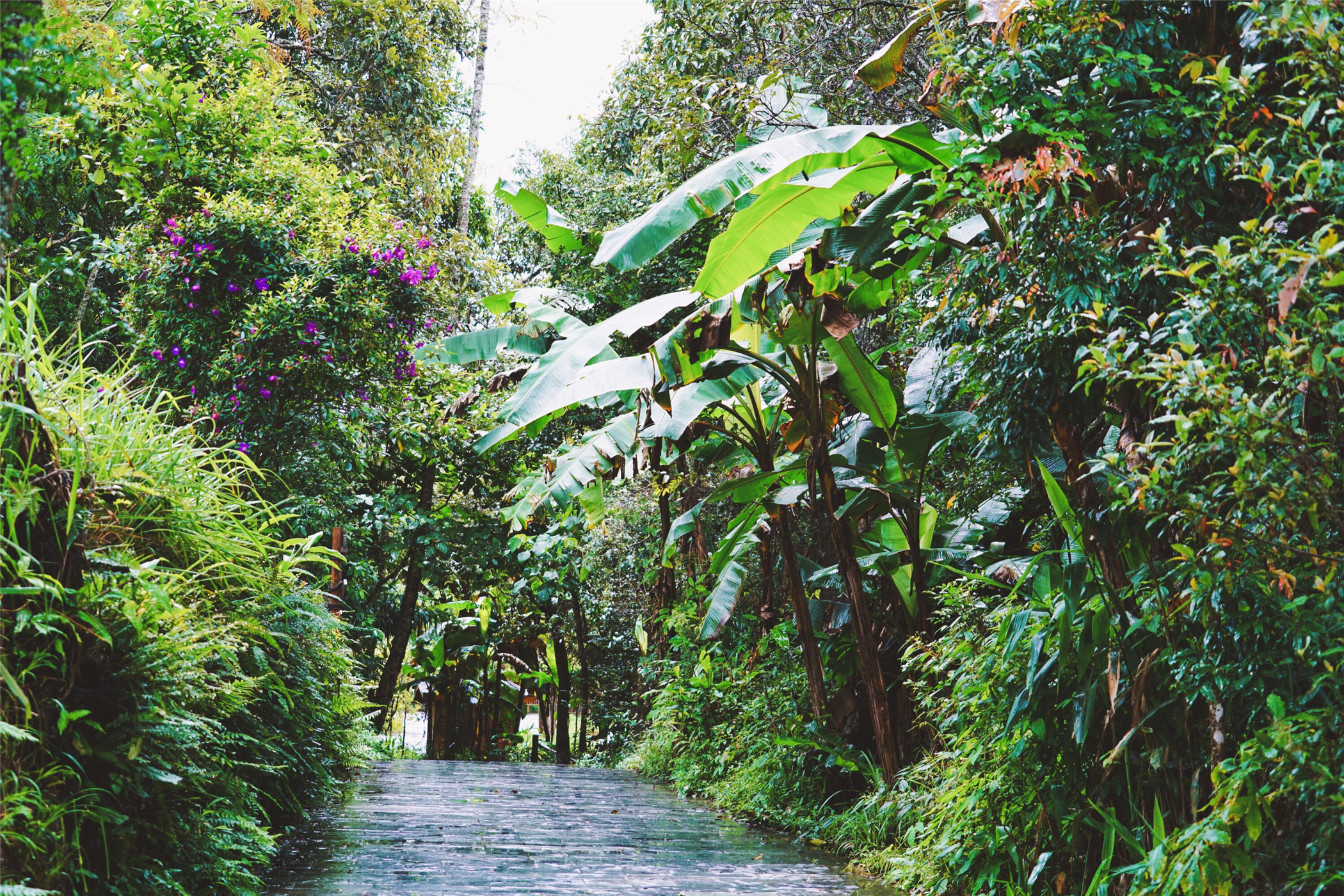 云南小众的养老旅居城市,云南昆明适合养老吗