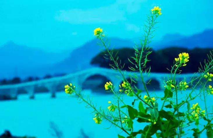 天台人的“外滩”——你看得见、摸得着的美丽！