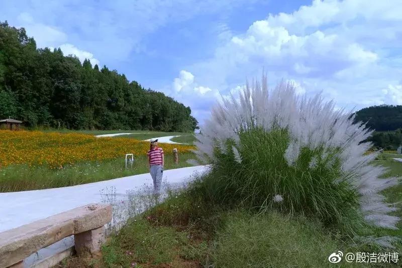 成都坐动车5小时到的城市,金堂18分钟飙拢成都中心城区