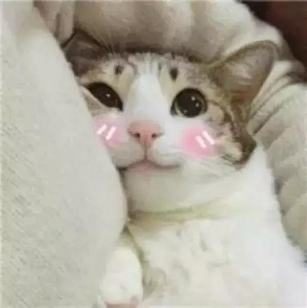 夏天晒黑冬天就白回来了怎么回事,原本皮肤很白晒黑了可以变回来吗