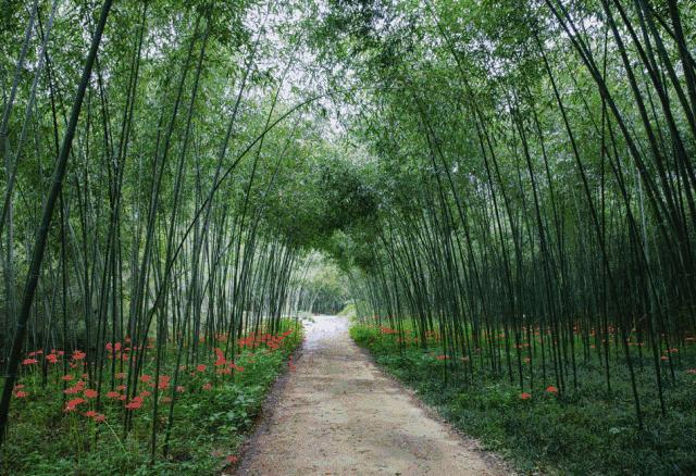 莫干山青年旅舍,莫干山青春旅社民宿