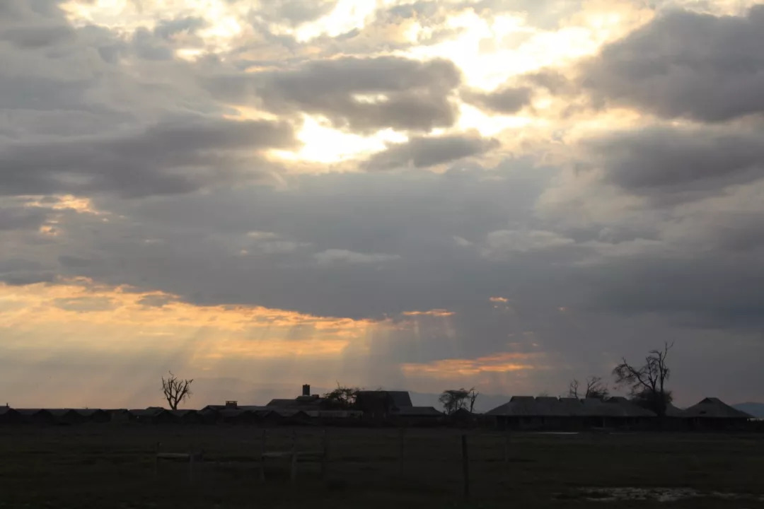 肯尼亚│我没有错过非洲，错过动物大迁徙