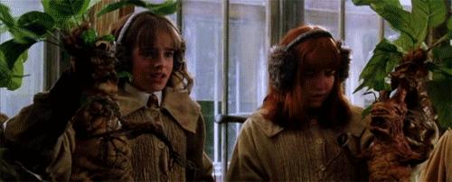 哈利波特小说的冷知识,哈利波特系列中的冷知识