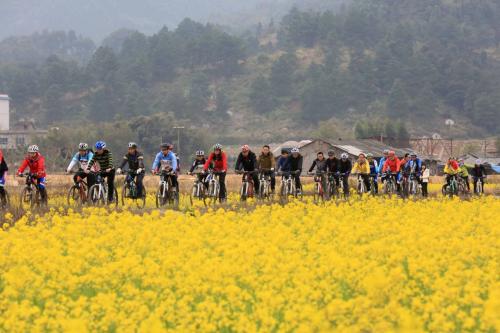挣钱越来越难了,现在挣钱越来越难了应该如何挣钱