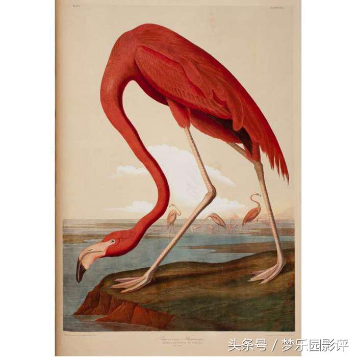 《美国动物》人性:一步错步步错