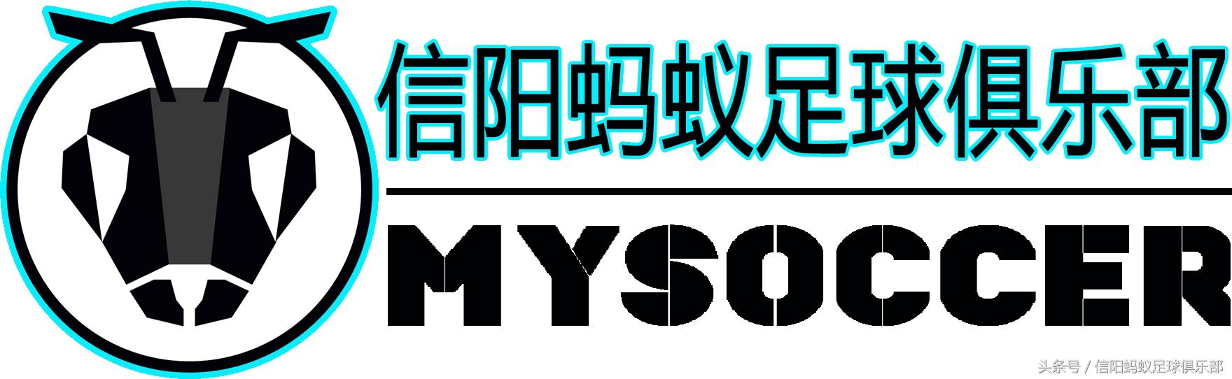 信阳蚂蚁足球,信阳完美风暴足球队