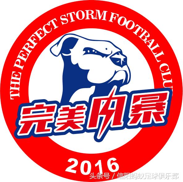 河南信阳蚂蚁足球,信阳蚂蚁足球联赛视频