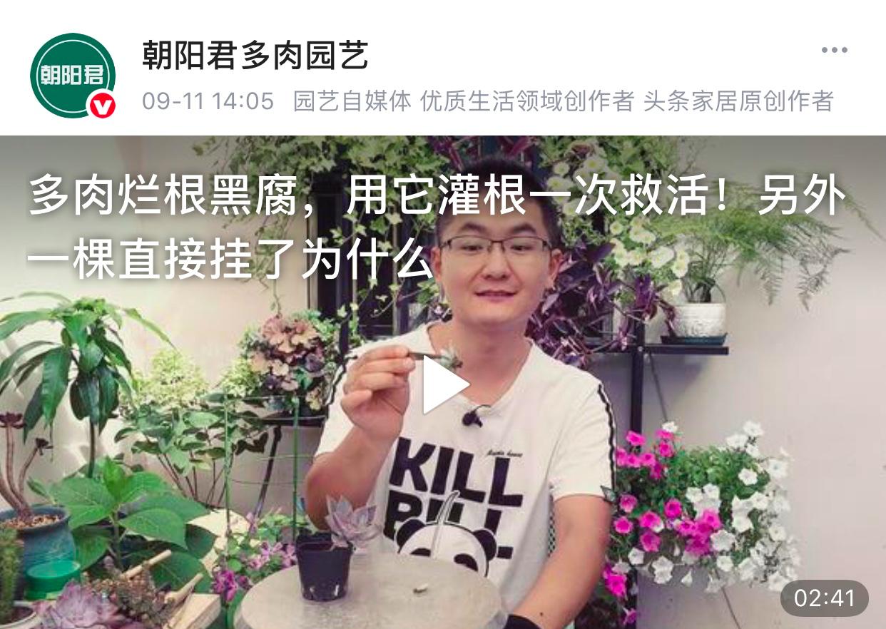 生活视频创作者,生活领域视频创作者收入