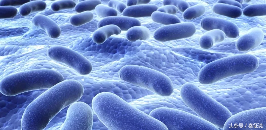 瑞典益生菌效果怎么样,瑞典biogaia益生菌作用