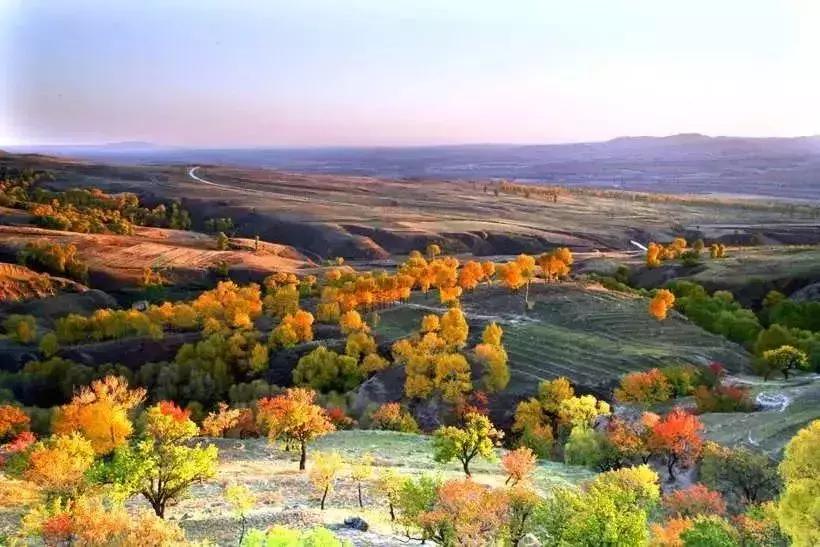 国内最美的十大海滨城市,国内最撩人的20个金秋童话