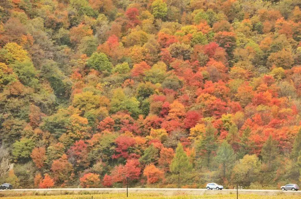 国内最美的十大海滨城市,国内最撩人的20个金秋童话