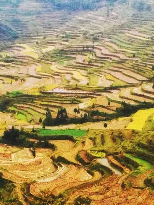 国内最美的十大海滨城市,国内最撩人的20个金秋童话