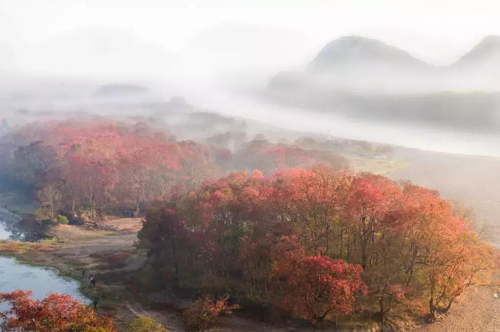 国内最美的十大海滨城市,国内最撩人的20个金秋童话