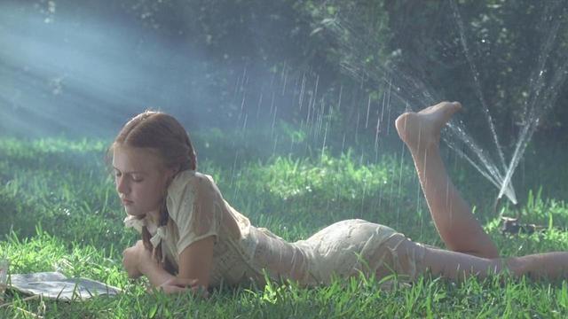 阿尔法小童星,曾经那个小童星阿尔法现在怎么样