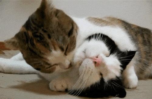 女生首次出血需要治疗吗,女生首次出血有什么要注意的