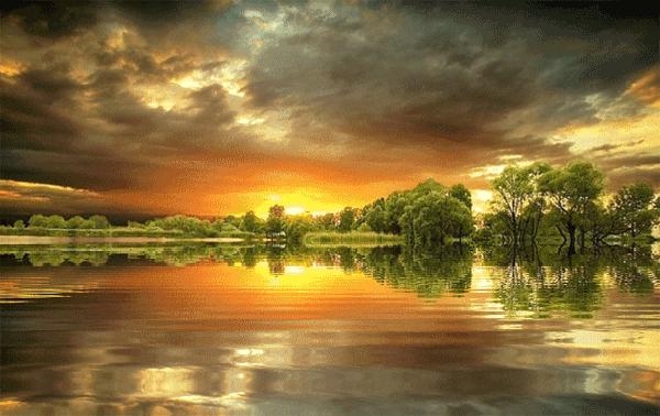 会动的图片一览表,会动的图片完整版