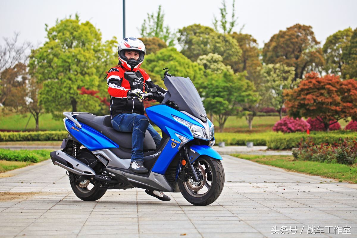 隐藏在绿化带里的罪恶,隐藏在黑暗深处的罪孽