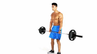 新手哑铃健身一周训练计划,新手健身一周训练计划在家