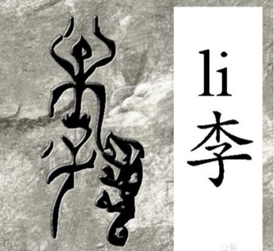 现在关于李姓的来源有许多种说法,关于李姓的都有哪些资料