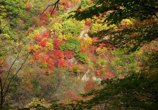 赏枫踏水才是东北秋季的正确打开方式