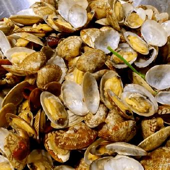 山东沿海旅游推荐攻略,旅游打卡地点推荐城市山东