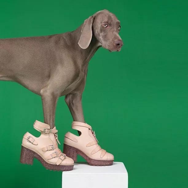 最新出圈的国潮联名款卫衣,三大国潮联名卫衣