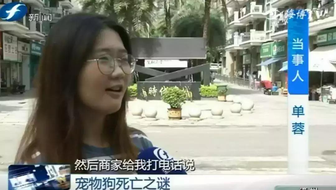 宠物店签订协议寄养死了怎么赔偿,为什么幼犬会在一夜之间莫名死亡